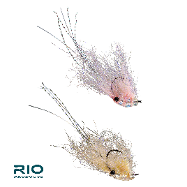 Rio's Shot Glass Fly