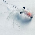 Fly with hareline legs trailing