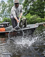 Simms daymaker net feature